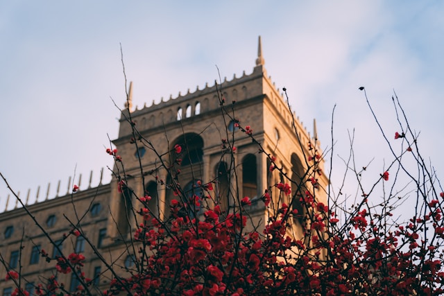 Software Governance Header Header image